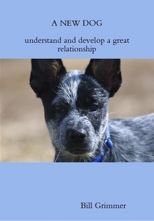 A New Dog Ebook