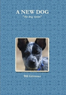 A New Dog Paperback